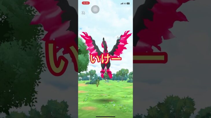 ガラルファイヤー、ゲットなるか？#ポケモン #ポケモンgo
