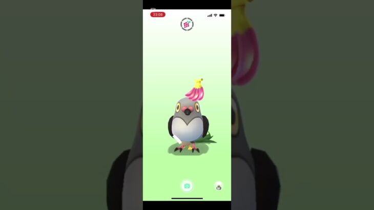なんできくちゃんのポケモンgoこんなバグるん？