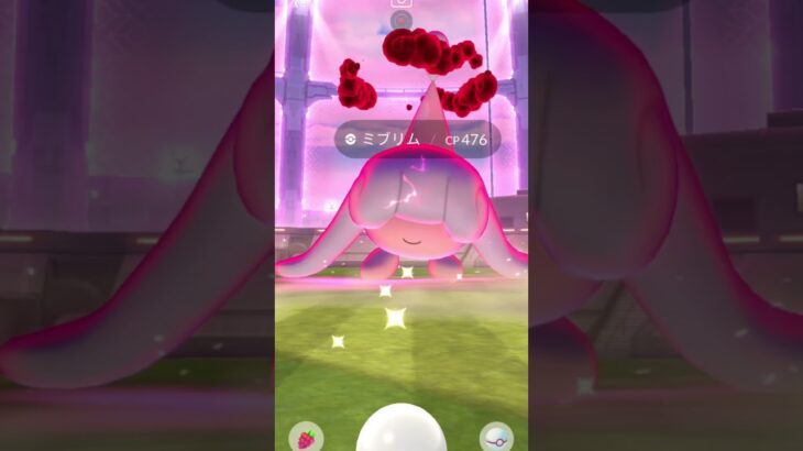 ミブリム全然いいのでない#ポケモンgo