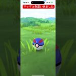 マッギョ色違い#ポケモンgo色違い #ポケモンgo #pokemongo #ポケモン #pokemon