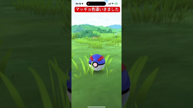 マッギョ色違い#ポケモンgo色違い #ポケモンgo #pokemongo #ポケモン #pokemon