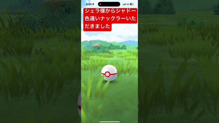 シャドー色違いナックラー#ポケモンgo色違い #ポケモンgo #pokemongo #pokemon