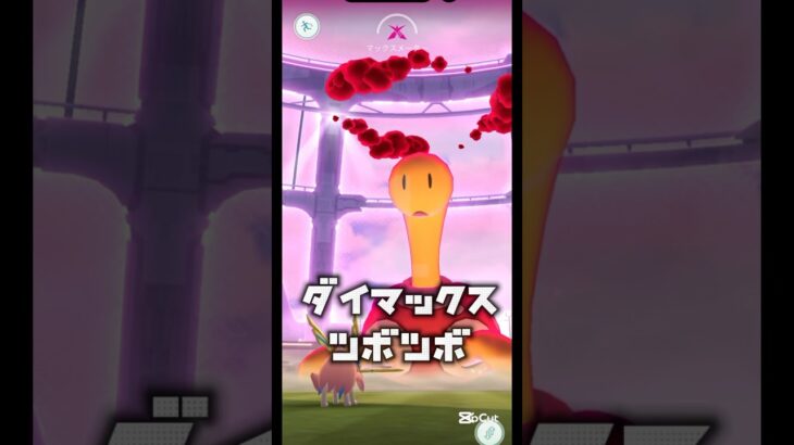 ダイマックスツボツボをソロ討伐⚔️#ポケモンgo #ポケモン #pokemongo