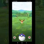 ポケモンgo チャンネル登録お願い♪　　#ポケモン  #pokemongo #ポケモンgo好きと繋がりたい #pokemon #ポケモンgo #ポケgo #ポケモンgo好きな人と繋がりたい