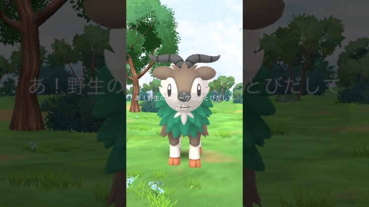 先行入手❓メェークル🐑個体値ガチャ#ポケモンgo #pokemongo #pokemongoshorts