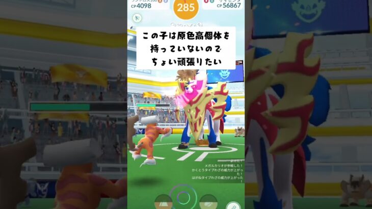 【#ポケモンgo 】vsザマゼンタ(たてのおうのすがた)#shorts #ザマゼンタ #pokemongo