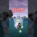 どんな確率！？#奇跡#ポケモンgo#PokemoGO # Pokémon #ポケモン #ポケモンgo好きと繋がりたい