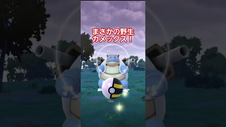 どんな確率！？#奇跡#ポケモンgo#PokemoGO # Pokémon #ポケモン #ポケモンgo好きと繋がりたい