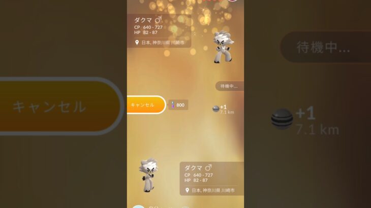 キラ交換で個体値max来るか…！？＃ポケモンGO＃キラフレンド＃キラ交換＃キラポケモン