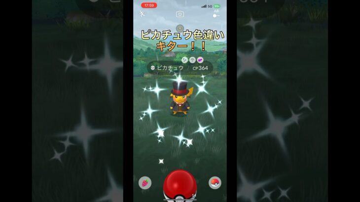 大阪フェストピカチュウ色違いキタ⁉︎中級者part190 【ポケモンGO】#ポケモンgo #ポケモン #pokemongo #pokemon #色違い #ピカチュウ #shorts