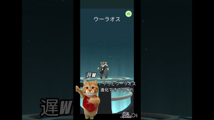 ウーラオス進化できて今これ #pokemon #ポケモンgo #ポケポケ #ポケモンカード #ポケカ再販最新情報 #ポケモン #ポケモンsv #pokemon #ナルトダンス