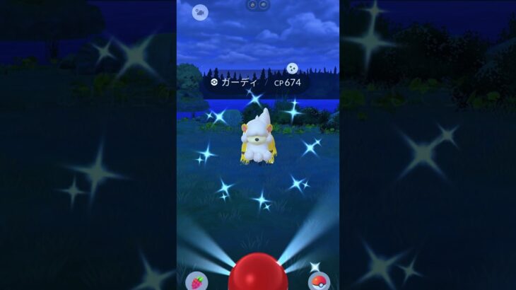 ヒスイガーディ🦁色違い✨#pokemongo #ポケモンgo #ポケモン #POKEMON#ガーディ#色違いポケモン #レアポケモン#ヒスイ地方
