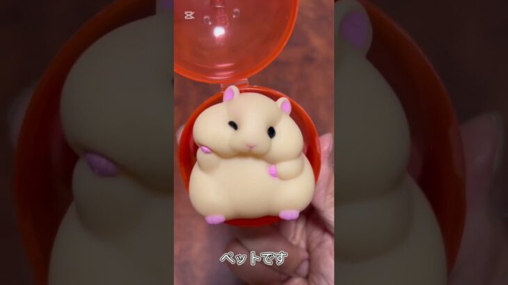 【ガチャ替え歌】ハムスターに一目惚れしたよ＃shorts