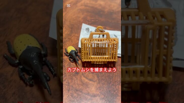 【ガチャ替え歌】お父さんと一緒に虫取りしたいな＃shorts