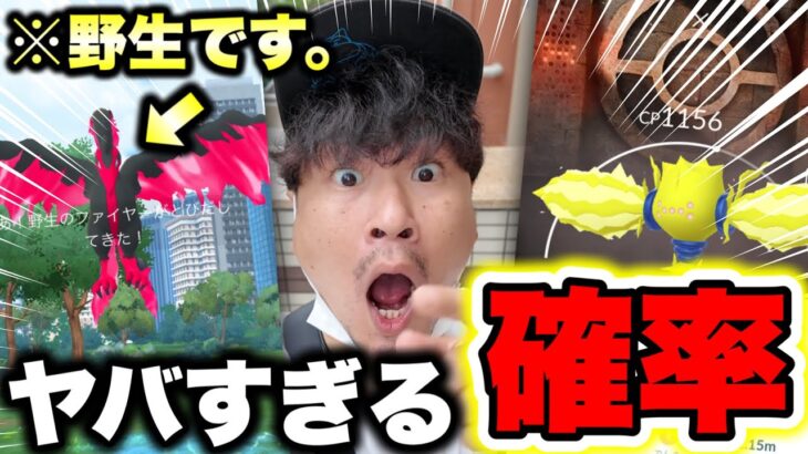ガラル三鳥ガチャの結果！背景レジの確率は◯◯か！？雨の中の激闘！！！