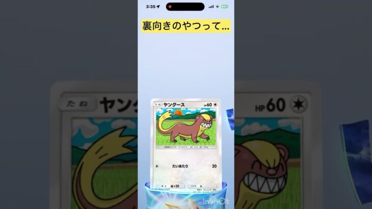 本日のガチャ