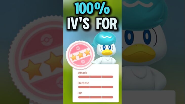 100% IVs for Quaxly in Pokémon Go!