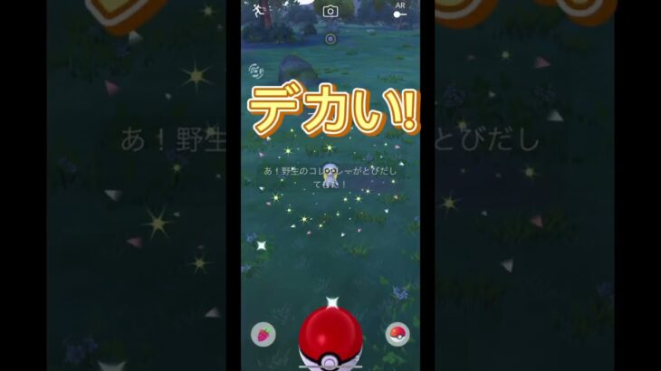 コレクレー色違い探し2日目！ #ポケモン #ポケモンgo #色違い #コレクレー