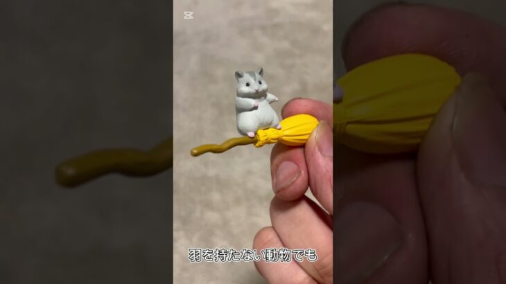 【ガチャ替え歌2】ハムスターさんが空を飛ぶなんて夢みたいだね＃shorts
