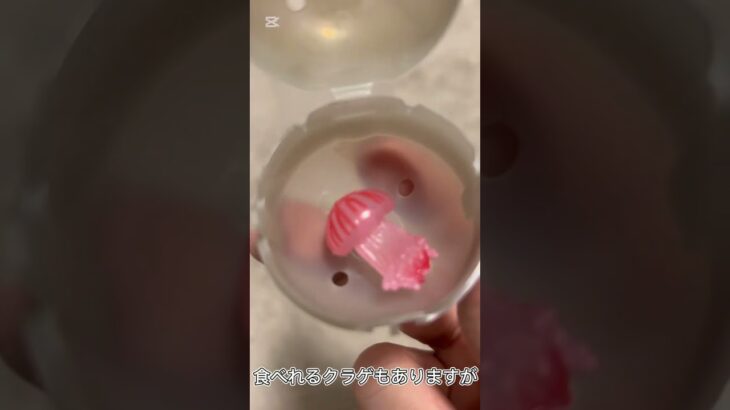 【ガチャ替え歌2】クラゲ水族館に行ってみよう＃shorts