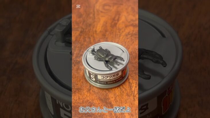 【ガチャ替え歌2】お父さんと昆虫採集に行こう＃shorts