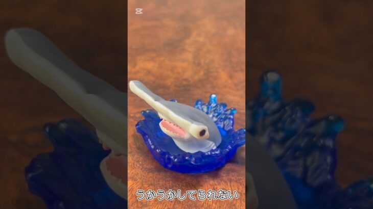 【ガチャ替え歌2】危険生物サメさんには気をつけてね＃shorts