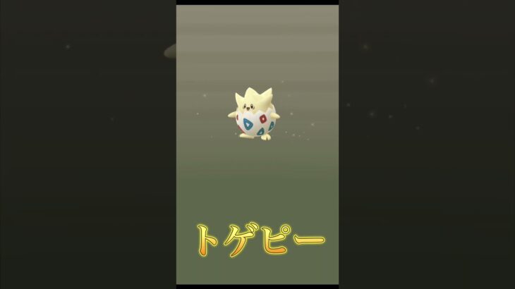タマゴガチャパート5#ポケモンgo #ポケモン #トゲピー #レジの部屋