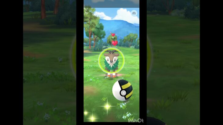 まだメェークルいたんですね。7/24です。#ポケモンgo #short