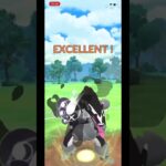 FJおもしろチャンネル　ポケモンgo動画投稿遅れてすみません！これからは投稿頻度を上げていきます！！#ポケモン #ポケットモンスター #ショート
