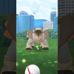 ポケモンGO ｜#08｜無課金｜ Pokémon GO