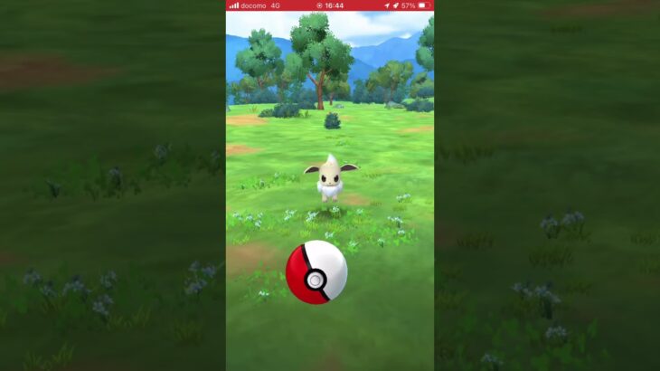 ポケモンGO イーブイ背景付き色違い出た！