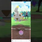 ポケモンGO 通常ハイパーリーグ 色アシレーヌ、ドクロッグ、トゲデマル