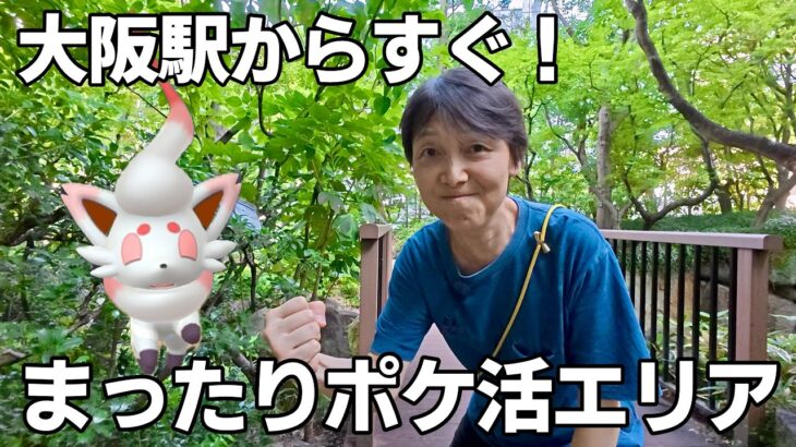 ポケモンGO 中高年には懐かしくて優しいポケ活エリアご紹介