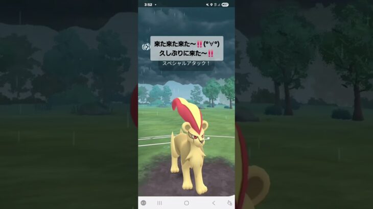 ポケモンGO 通常ハイパーリーグ ジャラランガ、色カエンジシ、相棒ランターン