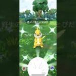 【ポケモンGO】 ブイゼル（色違い） 捕獲動画！！