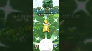 【ポケモンGO】 ブイゼル（色違い） 捕獲動画！！