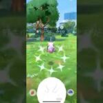 【ポケモンGO】 ヒンバス（色違い） 捕獲動画！！