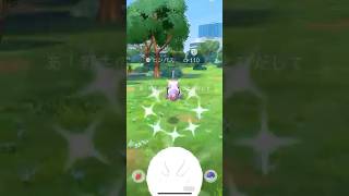 【ポケモンGO】 ヒンバス（色違い） 捕獲動画！！