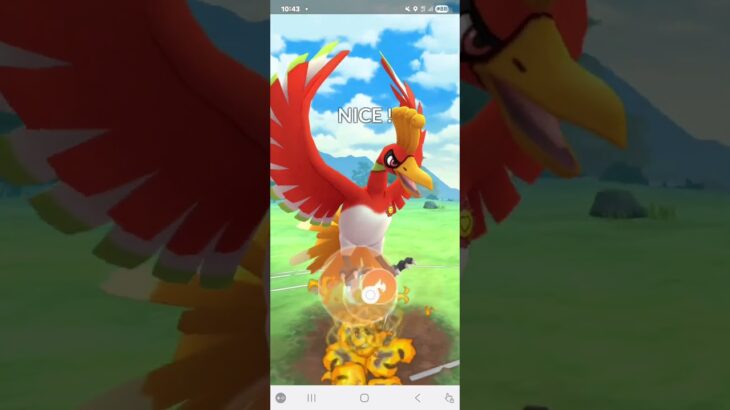 ポケモンGO 通常マスターリーグ ザマゼンタ(盾の王)、バンギラス、ホウオウ
