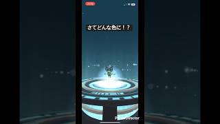 【色違い】ポケモンGO オンバット進化させてみたらあの色に！？