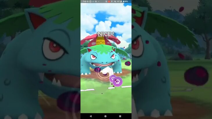 陽光カップ【ポケモンGO】フライゴン、ファイアロー、フシギバナ