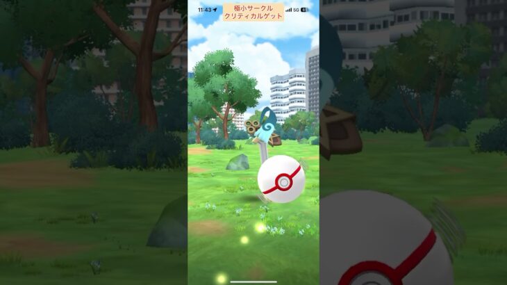 【難易度中】ヒトツキ極小サークルクリティカルゲット【ポケモンGO】