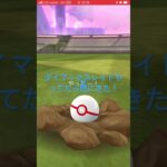 色違いきたポケモンGO
