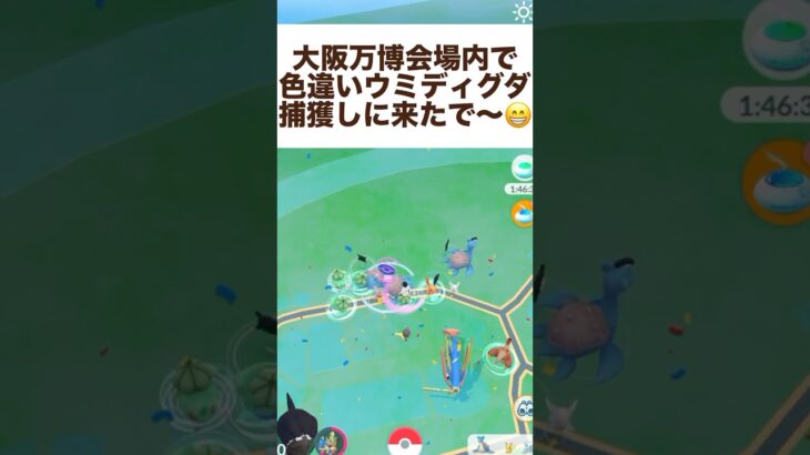 ポケモンGO大阪万博で色違いウミディグダ捕獲や