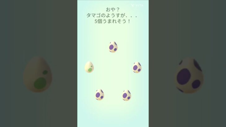 タマゴ一気に！【ポケモンGO】