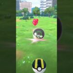 ポケモンGO、コーディネートしようか