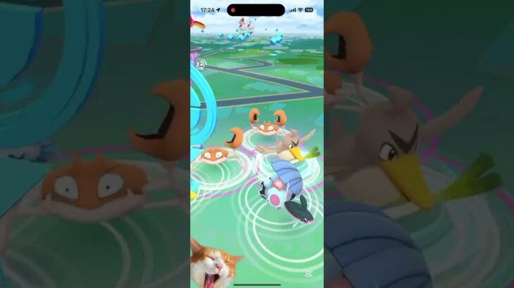 そろそろイロチ来い！　#ポケモンGO