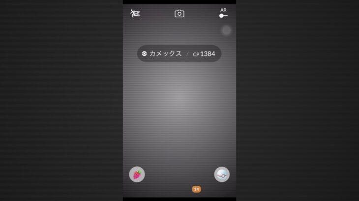 ポケモンGOのレイドバトル中に起きたバグ❓