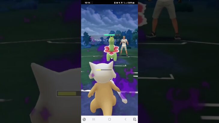 ポケモンGO 通常スーパーリーグ オコリザル、Sガラガラ、エルフーン