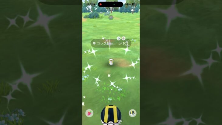 【ポケモンGO だいじなたからばこ】色違いコレクレーゲットだぜ！ #ポケモンgo #pokemongo  #コレクレー